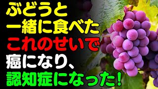 ぶどうと一緒に「これ」 は絶対食べないで 🍇 ぶどうと食べると滋養強壮剤になる食品3選＆レシピ！栄養補助食品の代わりにこれを食べよう 【がん・認知症予防、脳健康、栄養効果、果物、ベリー、ワイン、巨峰】