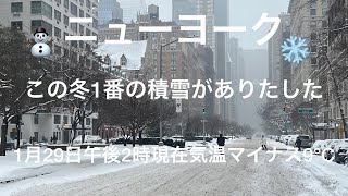 ニューヨーク この冬1番の積雪がありました　1月29日午後2時気温 -9度です