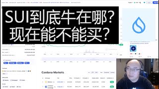 买SUI不看这期要后悔 | SUI的项目价值 | SUI的代币投资 | Ben the VC