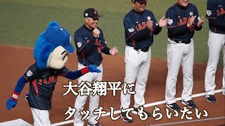 【WBC強化試合】2日連続で大谷翔平にスルーされる納得いかないドアラ