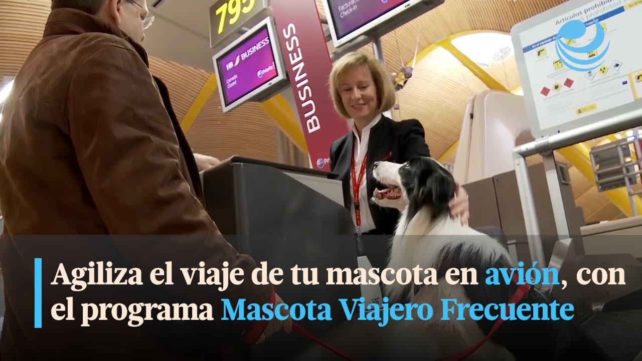 Agiliza El Viaje De Tu Mascota En Avión, Con El Programa Mascota ...