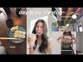 DAY IN MY LIFE VLOG | pre fall cider haul, coffee & sushi date with my friend + more!