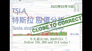 Analysis of TSLA Tesla stock price trend February 10, 2023 (No. 360)