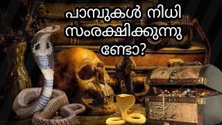 പാമ്പുകൾ നിധി സംരക്ഷിക്കുന്നുണ്ടോ? | Do snakes protect the treasure?