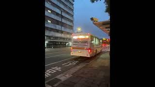 臺北客運【三峽台大醫院跳蛙公車】三坤車體(仿造固亞)-HINO RK8JRVA-KJF【KKB-1962】