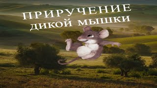 Полевка-Маленькая \