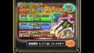 星ドラ　15000ジェムシリーズ武神　オノ　ツメ　ムチセレクションガチャ