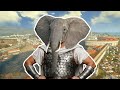 The Carthage Experience