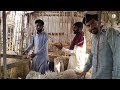 desi chatre shahpur kanjra live soda sindhi mundre qurbani 2024 mazhar biba official