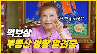 부동산 살려면 자기한테 맞는 방향이 중요해!  애들명의로 사줄분들 꼭 보세요! ( 광고없음 ) / 김포점집 송암보살