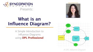 Using an Influence Diagram for a Strategic Business Decision