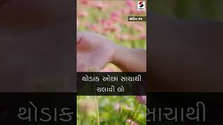 જિંદગીમાં સાવ સાચા લોકો ન મળે તો થોડાક ઓછા સાચાથી ચલાવી લો