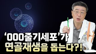 [연세사랑병원] 성체줄기세포 속 이것이 연골재생을 돕는다?!