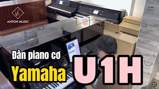 Đàn piano cơ Nhật Bản Yamaha U1H giá rẻ | piano cho người mới học | Piano Trà Vinh | Anton Music