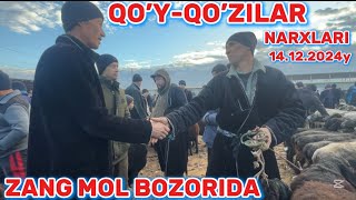 ZANG MOL BOZORIDA QO’YLAR NARXLARI 14.12.2024y #zang #mol #bozori