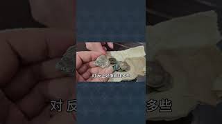 姥爷祖宅里找到很多古钱币，媳妇却当垃圾扔了！【小闫打铁镯】