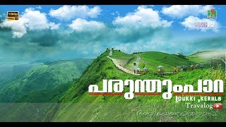 Parunthumpara | പരുന്തുംപാറ | idukki  | Kerala Hill station |  travel vlog