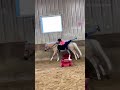 Happy Friday everyone! Emma and Gabby just doing their thing ❤️. #equestrian #horse #pony #summer