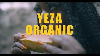 Yeza \u0026 Rory StoneLove - Organic [Lyric Video]