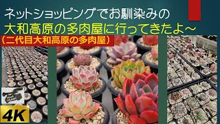 🌵ネットショッピングでお馴染みの大和高原の多肉屋に行ってきたよ～（4K映像・ドローン空撮）