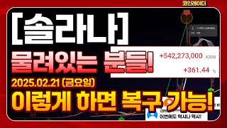 [솔라나 코인] 물려있는 분들! 이렇게 하면 복구 가능!