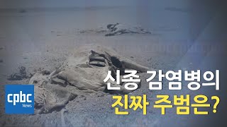 코로나19 주범은 박쥐?…바이러스보다 무서운 기후변화