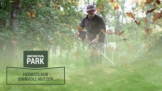 Herbstlaub ist kein Müll! So nutzt du Laub im Garten perfekt.