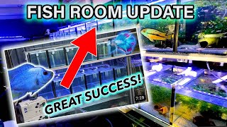 FISH ROOM BUILD - ONE YEAR UPDATE