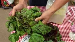 Amish Heartland Tours ~ Karen Geiser demo.MOV