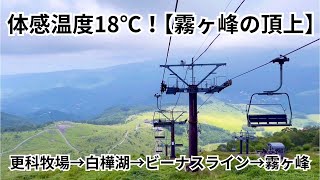 【体感気温真夏でも18℃】夏のおすすめ／霧ヶ峰→車山の絶景スポット￼