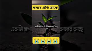 কবর প্রতি দিন ডাক দিয়ে যায়।#ওয়াজ #কবর #কবরের_গজল