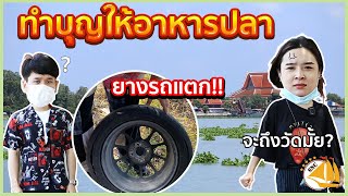 ทำบุญให้อาหารปลาหน้าวัด- SNC STORY EP.11