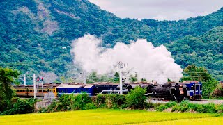 台鐵4666次DT668蒸汽機車\