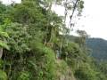 Canopy in Mindo, Ecuador