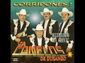 el corrido de armando