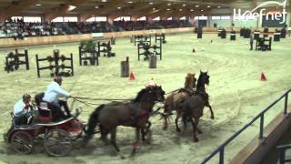 Strijd der Districten, Ermelo 2016 (vierspan paarden en tandems)