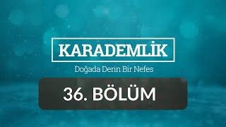 Manisa - Karademlik 36.Bölüm