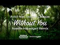 Avicii - Without You (feat. Sandro Cavazza) (Roselle Marasigan Remix) [AVICII TRIBUTE]