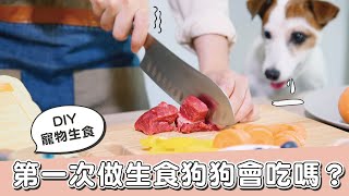 【肉骨餅DIY】第一次親手做生食，狗狗會賞臉嗎？！