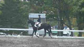 馬場馬術競技 A2課目　6番 神谷詩選手×ヤマニンカプシーヌ号