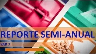 SAR 7 Reporte Semi-Anual
