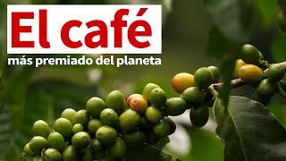 El café más premiado del planeta | EL TIEMPO