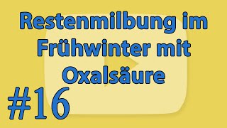 [#16] ► Die Restentmilbung im Frühwinter