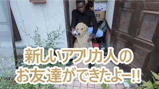 ハードな仕事も終わり新しいアフリカ人のお友達ができたよー！ゴールデンレトリバーティト