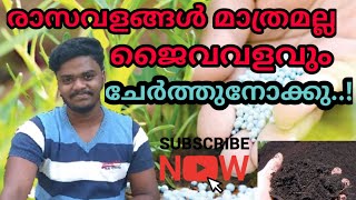 രാസവളങ്ങൾ മാത്രം ഉപയോഗിക്കാമോ? ജൈവവളം പിന്നെ രാസവളവും ഉപയോഗിക്കാമോ? ||Use of chemical fertilisers||