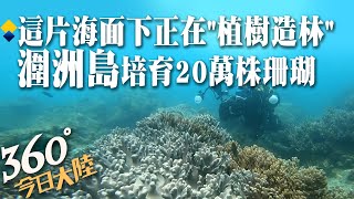 【360°今日大陸】北海海底\