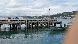 A view from Kumutoto-Jervois Quay Waterfront - 21 March 2020