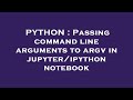PYTHON : Passing command line arguments to argv in jupyter/ipython notebook