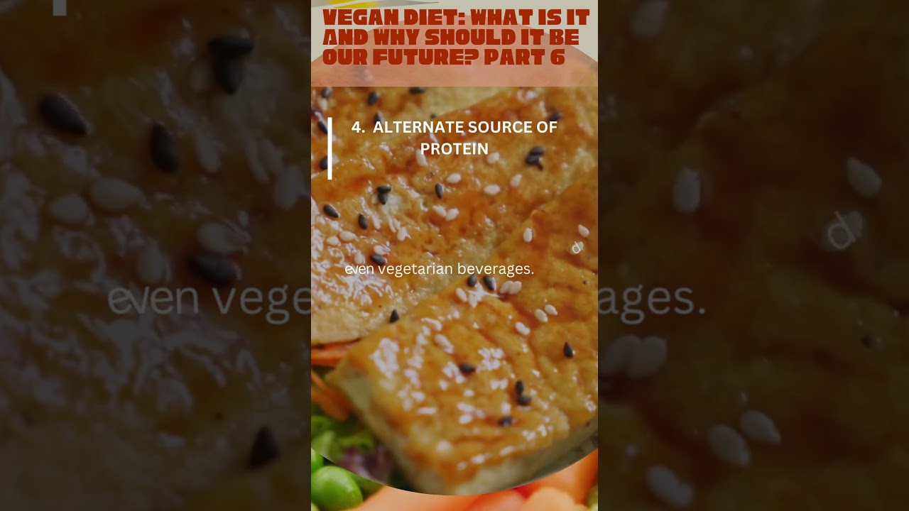 Vegan Diet What Is It And Why Should It Be Our Future Part 6 Vegan Diet What Is It And Why Should It Be Our Future Part 6