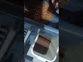 roasted coffee bean color sorter machine